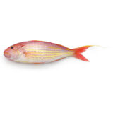 Fin Bream (Kili Meen) 1kg