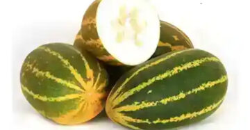 Kerala Cucumber (Vellari) 250g