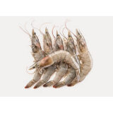 Prawns 1kg