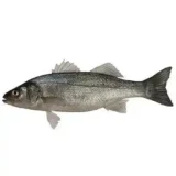 Seabass per box   