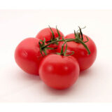 Tomato 1kg